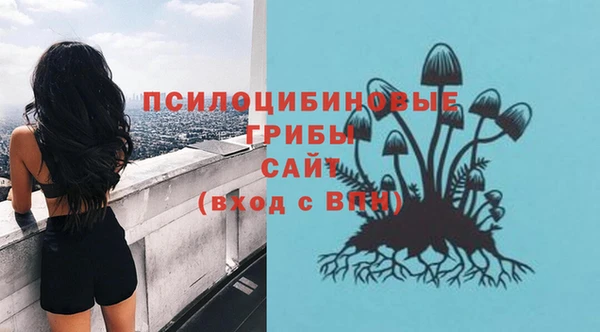 шишки Бугульма